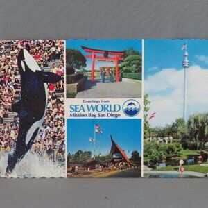 Vintage Postcard - Sea World San Diego Major Attractions - Continental Card